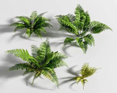 Modern Plant Landscape Plant Heap 3d model Modern Plant Landscape Plant Heap 3d model