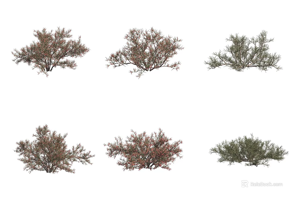Various Types Of Garden Shrubs With Green And Brown Foliage For Landscaping 3d model 