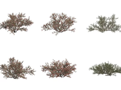 Various Types Of Garden Shrubs With Green And Brown Foliage For Landscaping 3d model