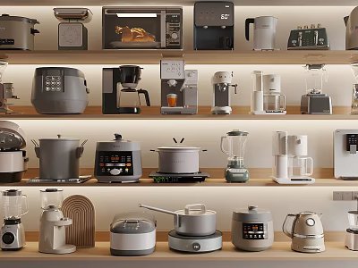 Various Types of Kitchen Appliances Displayed on Shelves for Home Kitchen Use 3d model