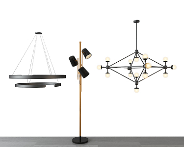 Modern lighting combination chandelier floor lamp 3d model