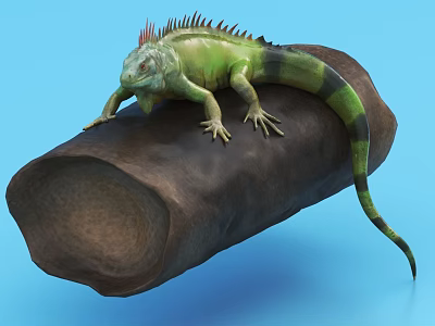 Green Iguana With Spiny Back And Black Stripes On Wooden Log Blue Background 3d model