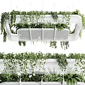 Modern Indoor Hanging Basket Plants With Lush Greenery And Metal Mesh Design For Home Decor