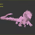 Fantasy Character Riding Orange Spiked Back Dragon With Long Tail And Saddle