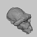 Detailed Textured Skull Model With Cracked Surface And Blue Spots