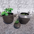 Three Garden Decorative Flower Pots With Green Plants Against Stone Wall And Paved Ground