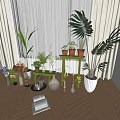 Indoor Plant Combination With Tall Palm Leaves Potted Plants Green Shelf And Decorative Vases
