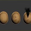 Three Golden Historical Military Helmets with Black Plume Decoration