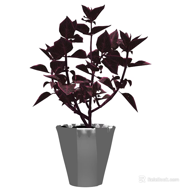 Bonsai Potted Plant With Purple Red Leaves In Gray Cone Shaped Pot 3d model 