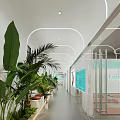 Modern Yoga Studio Interior With Pink Mats Large Mirrors And Plants