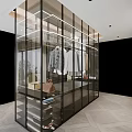 Modern Glass Wardrobe Interior Design With Hanging Clothes And Storage Items 3d model