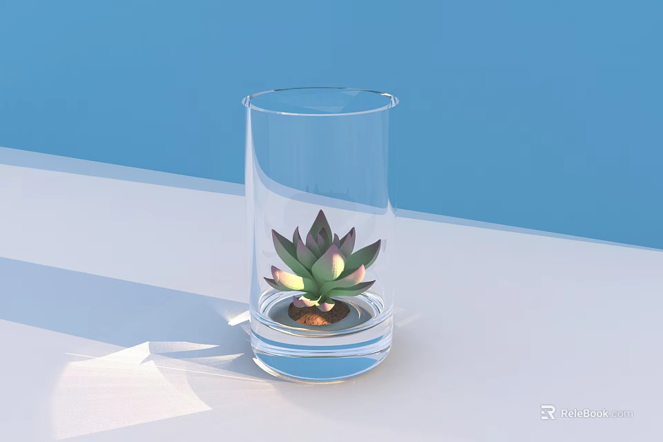 Clear Glass Vase with Green Succulent Plant on White Surface Against Blue Background 3d model 