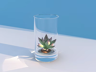 Clear Glass Vase with Green Succulent Plant on White Surface Against Blue Background 3d model