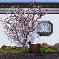Traditional Chinese Garden Featuring Pink Flowering Tree Square Lattice Window And Clay Pot