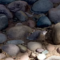 Large Stones And Natural Wooden Logs With Smooth Surface For Garden Decor