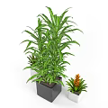 Potted Bonsai Plants With Green Leaves And Different Size Pots In Gray Black White