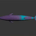 Colorful Purple And Blue Gradient Whale With Shiny Metallic Surface And Smooth Finish