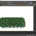 Lush Green Shrubs Forming Dense Trimmed Hedge For Outdoor Garden Landscape