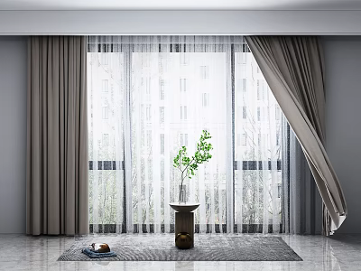 Gray Curtains with Sheer Panels Near Window and Green Plant in Modern Room Interior 3d model