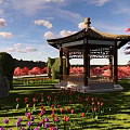Chinese Pavilion Garden Landscape With Trimmed Hedges Tulip Flowers And Red Trees