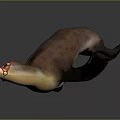 3D Rendered Realistic Sea Lion With Red Head Marking In Dark Background