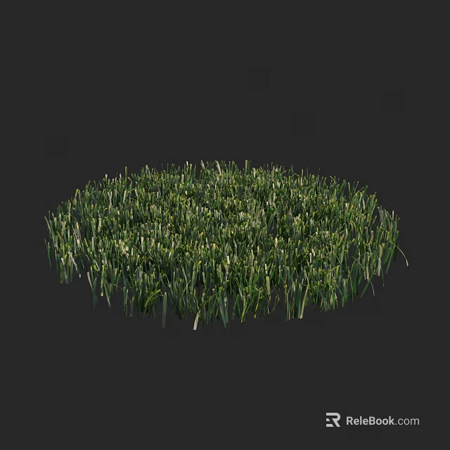 Lush Green Natural Grass Forming Round Patch In Dark Background 3d model 