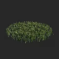 Lush Green Natural Grass Forming Round Patch In Dark Background 3d model