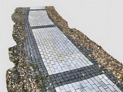 Neat Brick Paved Roadway Pathway With Soil Edges And Fallen Leaves 3d model