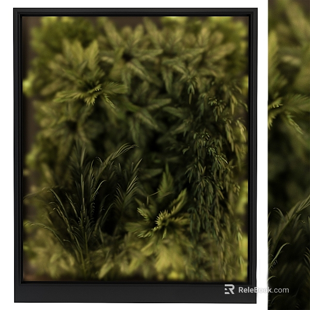 Indoor Green Plant Wall Decor With Lush Foliage And Natural Elements 3d model 