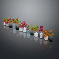 Sculpted Ceramic Vases With Colorful Flowers Arranged In A Row On Gray Background With Reflection