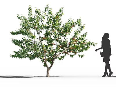 Lush Leafy Arbor With Green Foliage And Woman Silhouette Standing Beside 3d model
