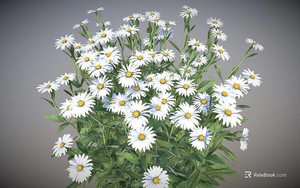 White Daisies with Yellow Centers Green Stems and Leaves in Natural Bunch 3d model 