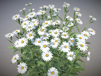White Daisies with Yellow Centers Green Stems and Leaves in Natural Bunch 3d model