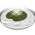 White Lotus With Green Lily Pads Floating On Water In Silver Plate Against Black Background