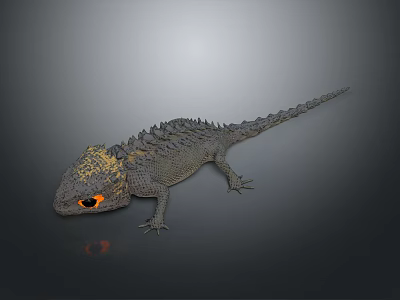 Detailed Gray Spiky Lizard With Yellow Head Orange Eyes And Reflection On Gray Background 3d model