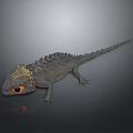 Detailed Gray Spiky Lizard With Yellow Head Orange Eyes And Reflection On Gray Background