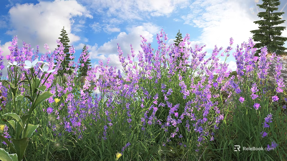 Purple Flowers In Grassland With Blue Sky White Clouds And Pine Trees 3d model 