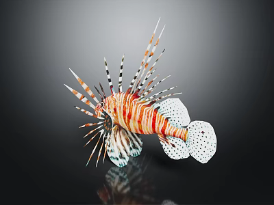Vibrant Lionfish With Red Orange Stripes And Long Spiny Fins On Black Background 3d model