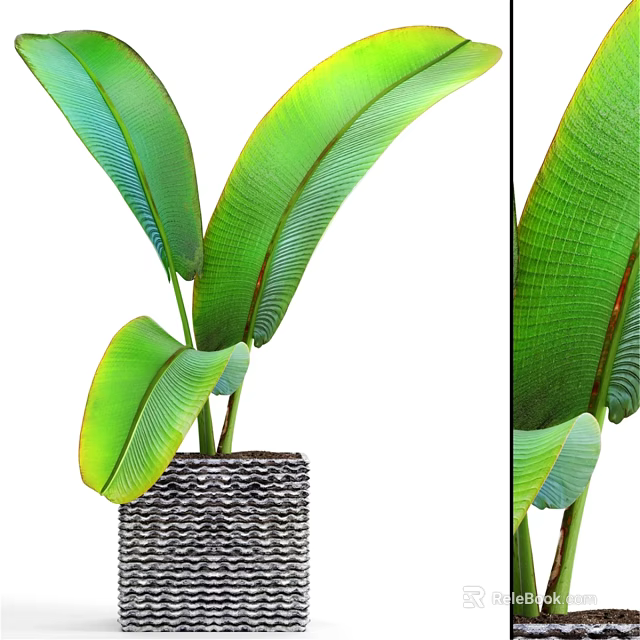 Ornamental Decor Set with Large Green Leaves in Woven Pot for Modern Home Decor 3d model 