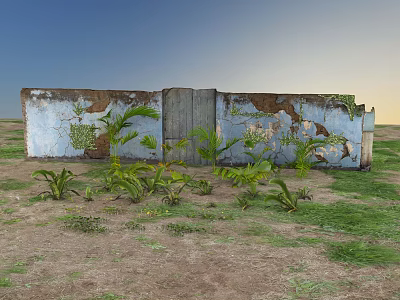 Garden Landscape Featuring Weathered Blue Wall Wooden Door Palm Trees And Ferns 3d model