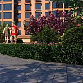 Garden Landscape with High Rise Building Green Shrubs Purple Flowering Trees and Paved Pathway