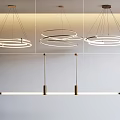 Modern Interior Lighting Combinations With Circular Rings And Linear Pendant Design 3d model