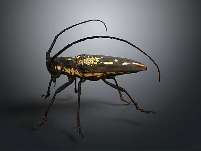 Detailed Longhorn Beetle with Long Antennae Black and Yellow Body on Dark Background 3d model