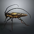 Detailed Longhorn Beetle with Long Antennae Black and Yellow Body on Dark Background