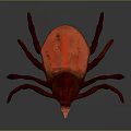 Red Tick Insect 3D Rendered Model With Detailed Body And Eight Legs