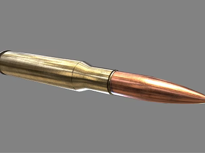 Detailed Close Up View of Military Weapon Bullet with Brass Casing and Copper Tip 3d model