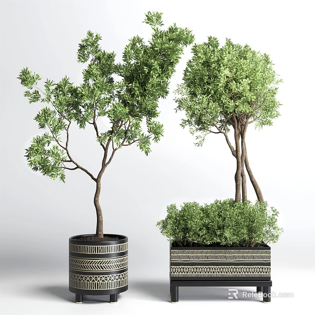 Bonsai Potted Plants In Geometric Patterned Pots With Lush Green Foliage And Varied Heights 3d model 