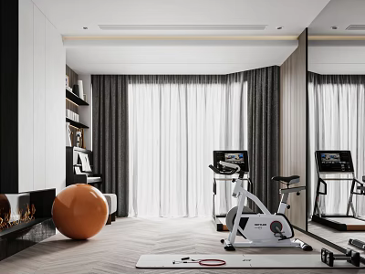 Modern Home Entertainment Room With Fireplace Orange Exercise Ball Exercise Bike Mirror Curtains And Bookshelf 3d model