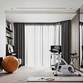 Modern Home Entertainment Room With Fireplace Orange Exercise Ball Exercise Bike Mirror Curtains And Bookshelf