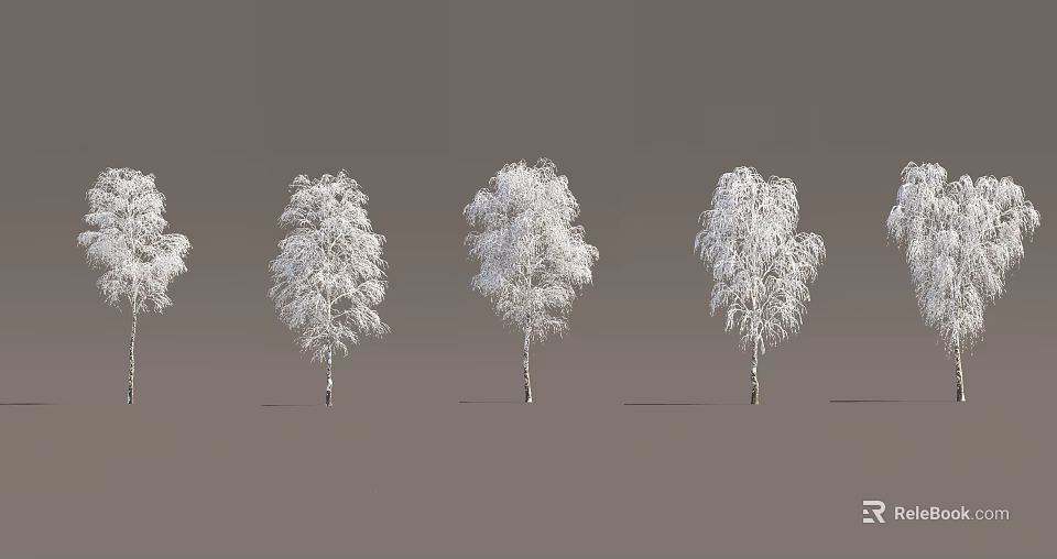 Snow Covered Trees With Slender Trunks And Snow Laden Branches Against Gray Background 3d model
